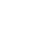 embedded-icon