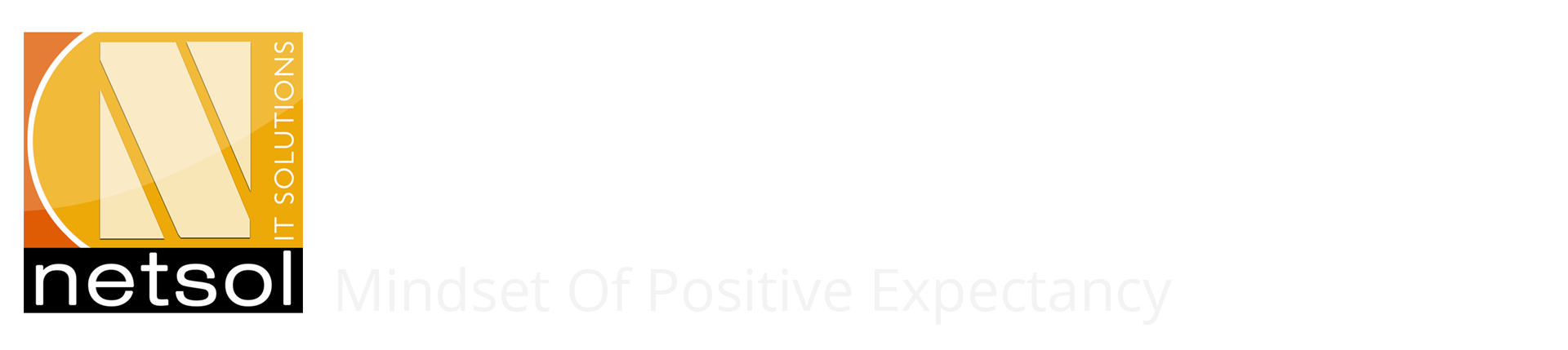 Netsol IT Solutions White Text Logo Copy Right Reserved Netsol IT Solutions